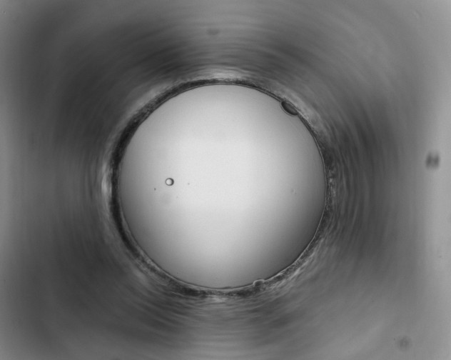 X0000103160350200808221157