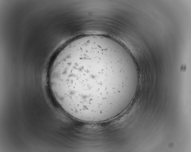 X0000103160351200808221157