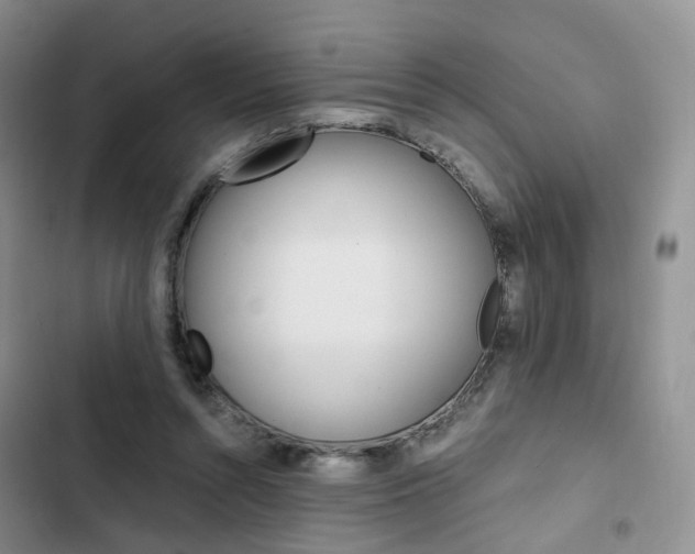 X0000103160352200808221157