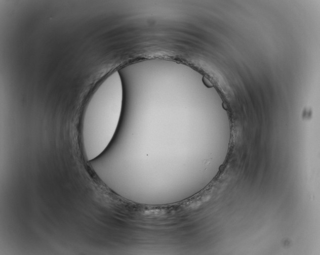 X0000103160353200808221157