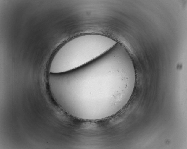 X0000103160354200808221157