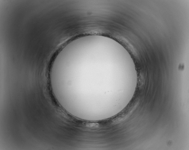 X0000103160355200808221157