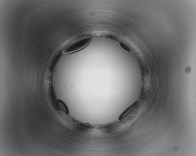 X0000103160356200808221158