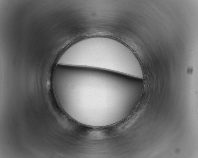 X0000103160358200808221158
