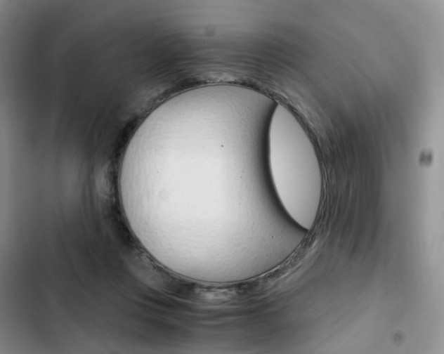 X0000103160359200808221158