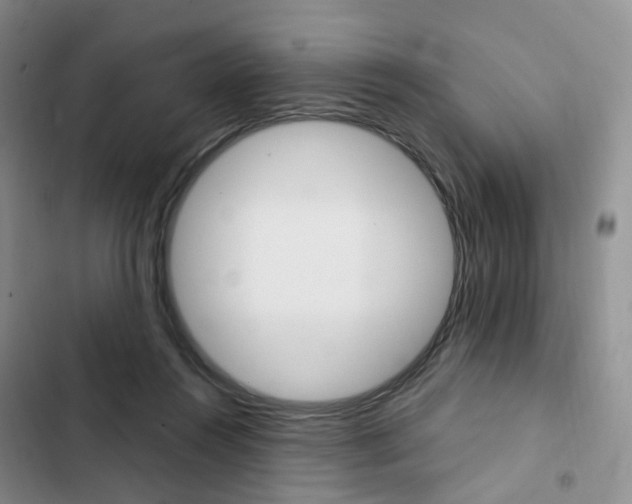 X0000103160360200808221158