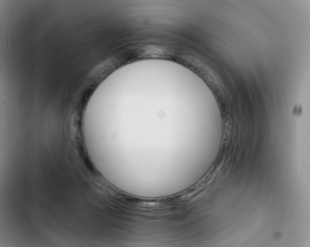 X0000103160361200808221158
