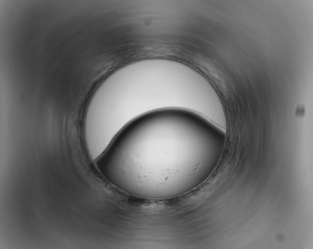 X0000103160362200808221158
