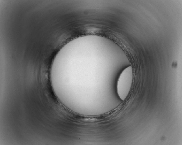 X0000103160363200808221158
