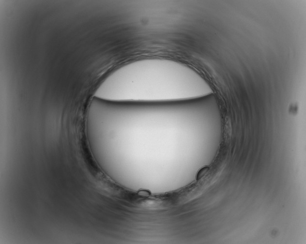 X0000103160364200808221158