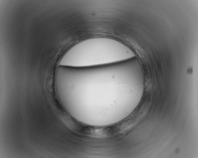 X0000103160365200808221158