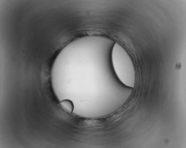 X0000103160367200808221158