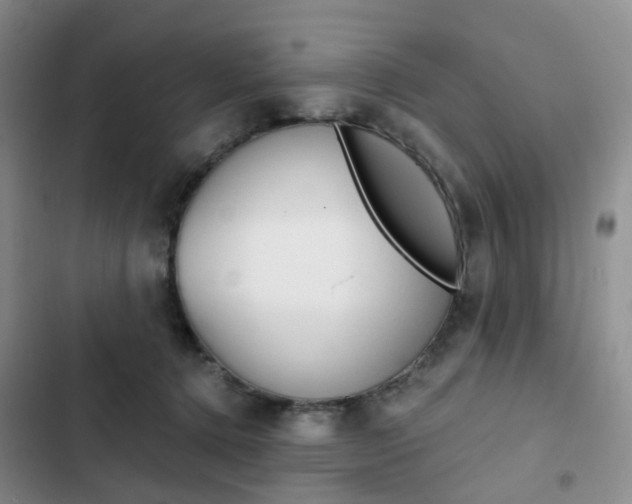 X0000103160368200808221158
