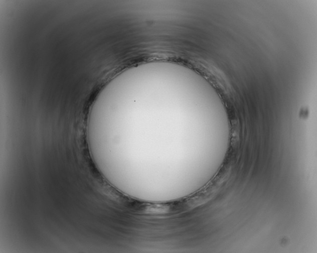X0000103160369200808221158