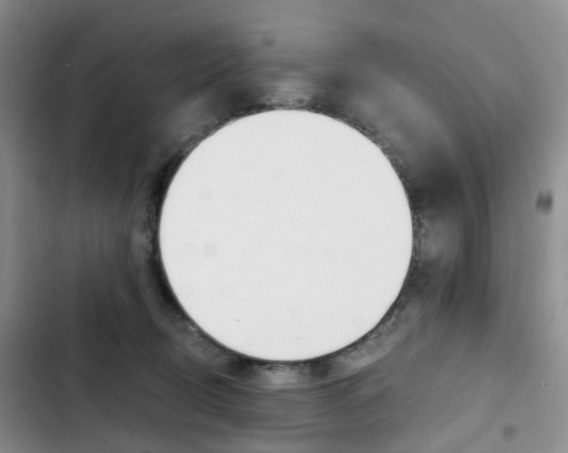 X0000103160370200808221158