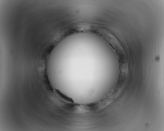 X0000103160372200808221158