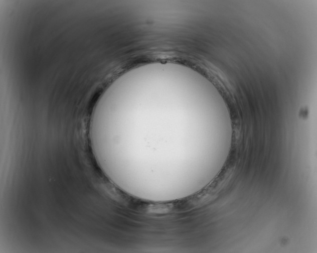 X0000103160373200808221158