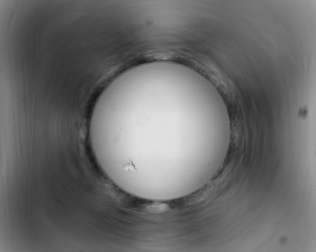 X0000103160374200808221158