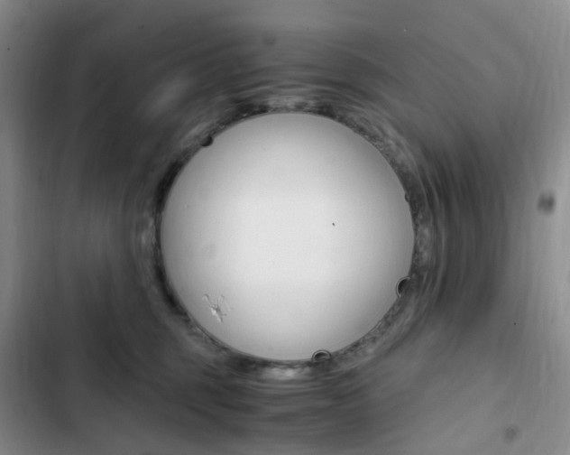 X0000103160375200808221158