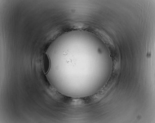 X0000103160376200808221158