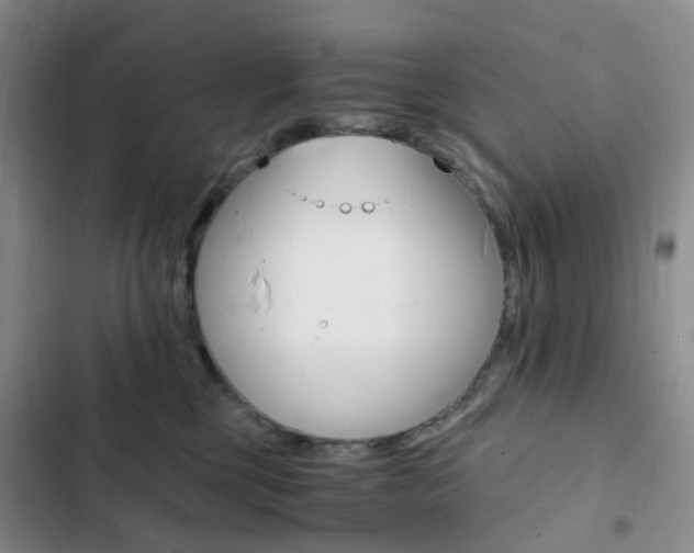X0000103160377200808221158