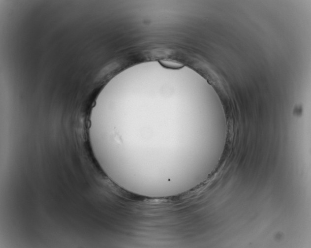 X0000103160378200808221158