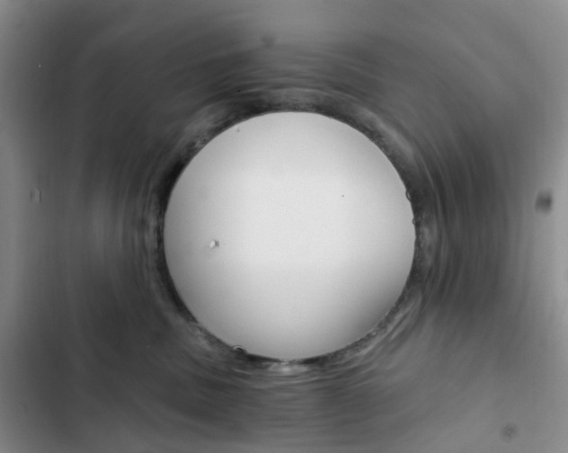 X0000103160379200808221158