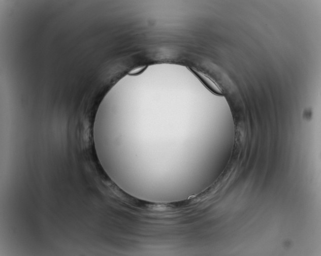 X0000103160380200808221158