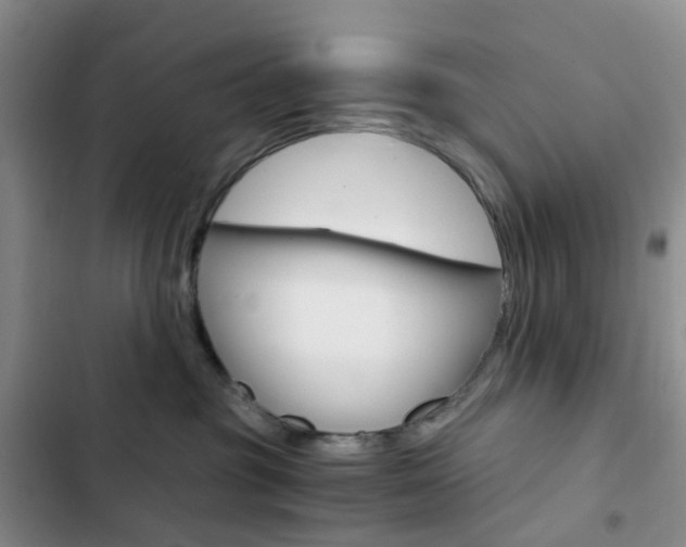 X0000103160381200808221158