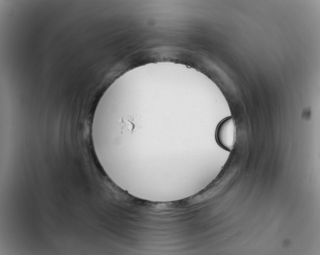 X0000103160382200808221158