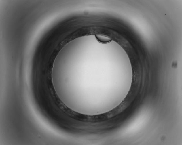 X0000103160383200808221158