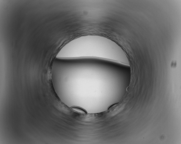 X0000103160384200808221158