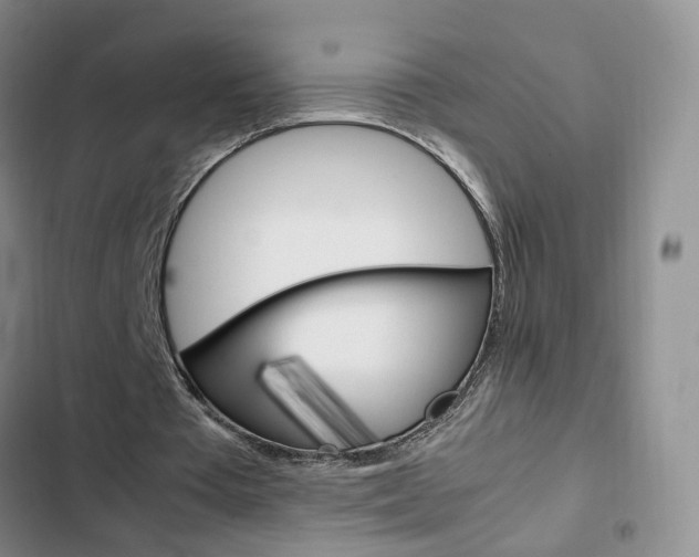 X0000103160385200808221157