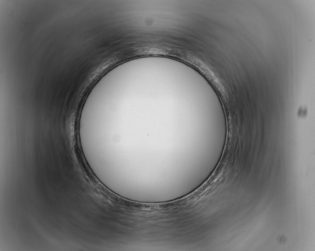 X0000103160386200808221157