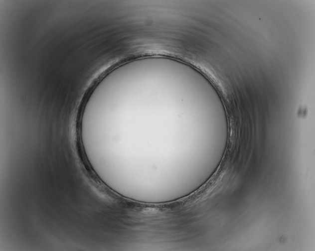 X0000103160390200808221157
