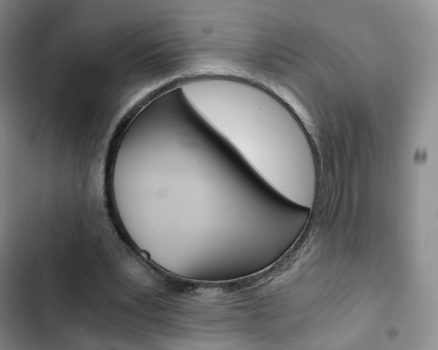 X0000103160391200808221157