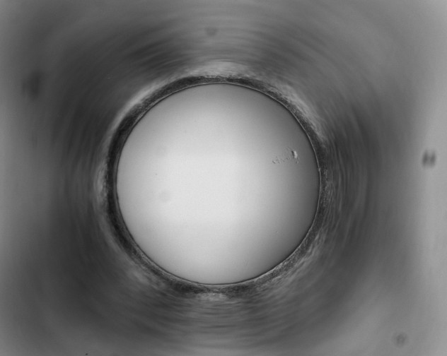 X0000103160392200808221157