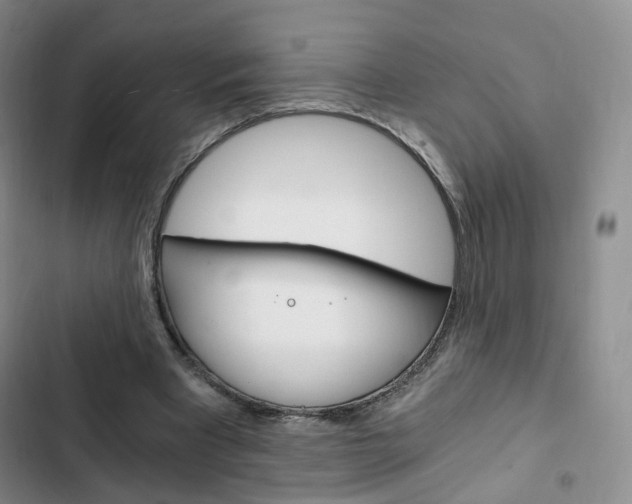 X0000103160393200808221157