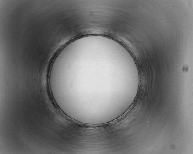X0000103160394200808221157