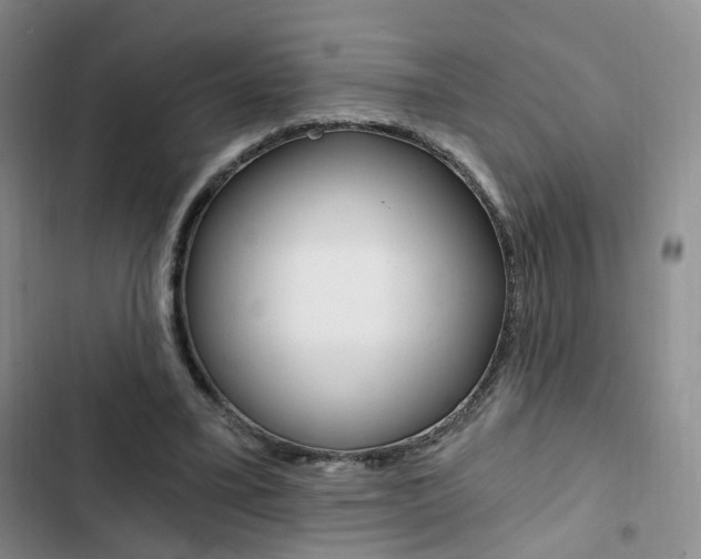 X0000103160395200808221157