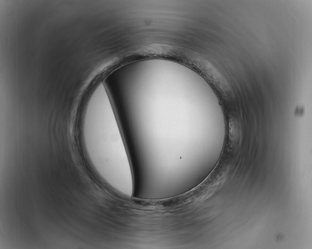 X0000103160396200808221157