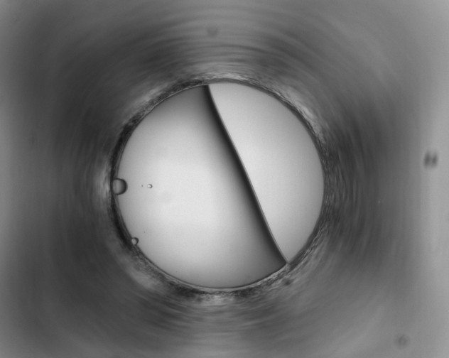 X0000103160398200808221157