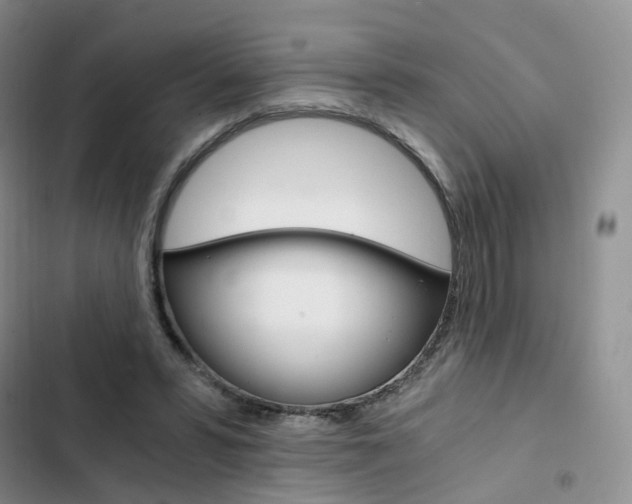 X0000103160399200808221157