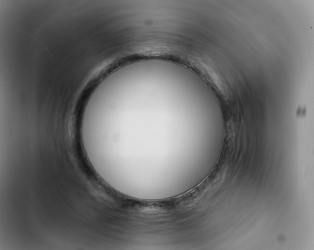 X0000103160400200808221157