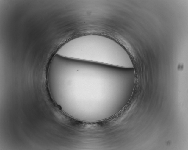 X0000103160401200808221157