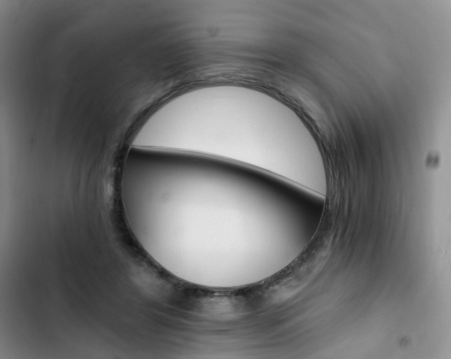 X0000103160404200808221157