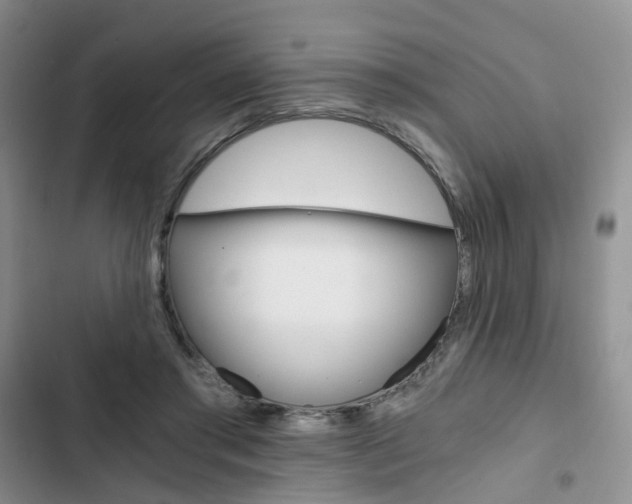 X0000103160405200808221157