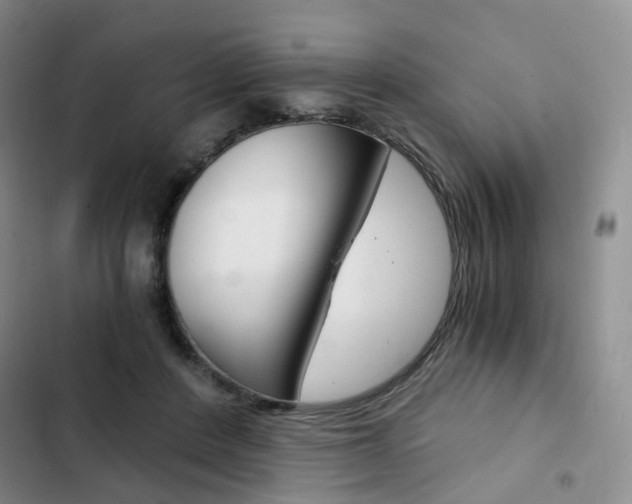 X0000103160408200808221157