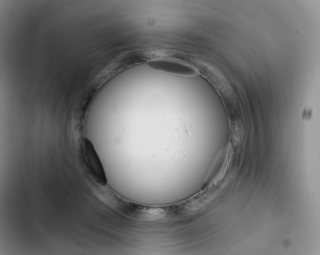 X0000103160409200808221157