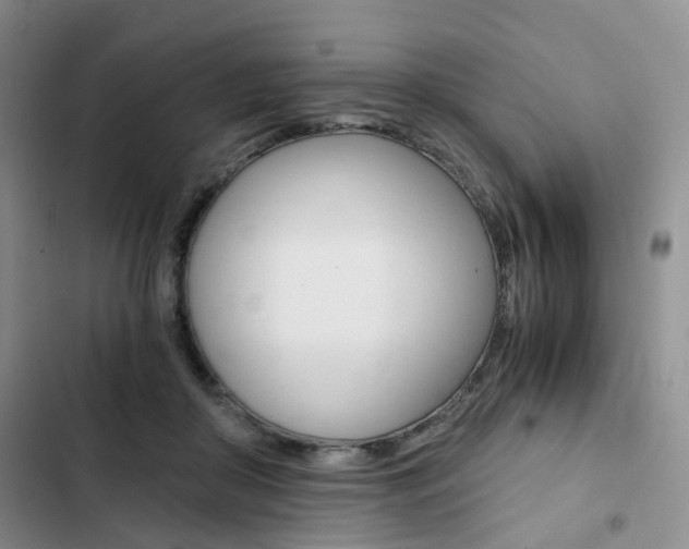 X0000103160410200808221157